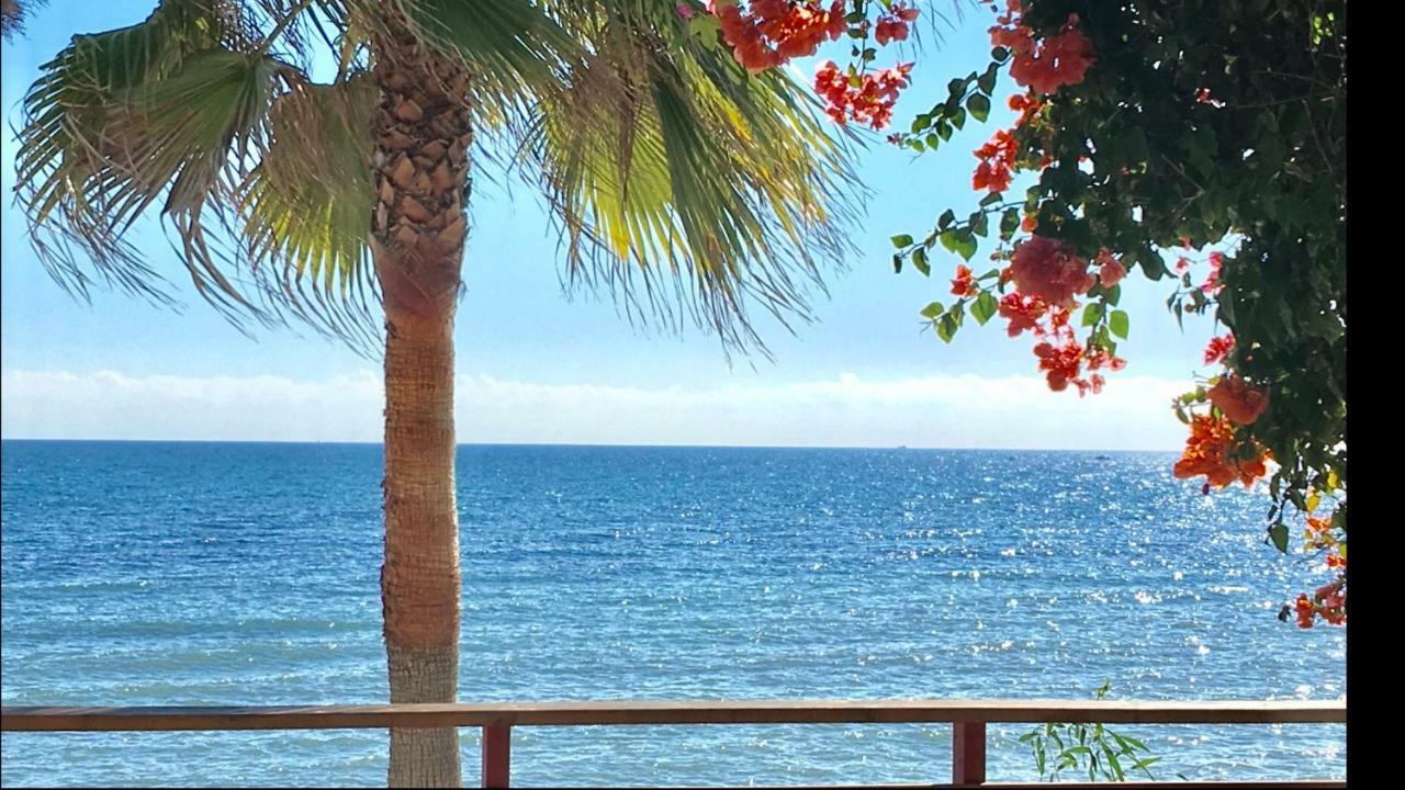 Mi Capricho 9A Beachfront- Apartment With Sea View - Costa Del Sol Sitio de Calahonda Eksteriør billede